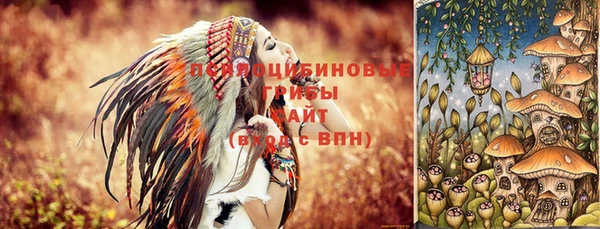 соль ск Белокуриха