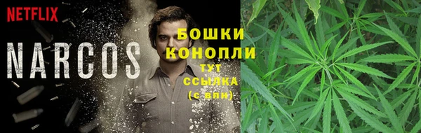 соль ск Белокуриха